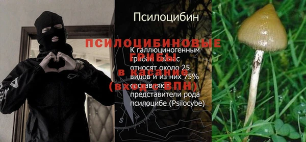 ALPHA-PVP Киреевск