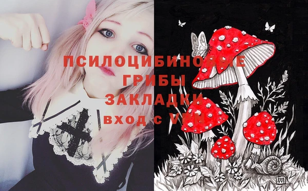 прущий лед Киренск